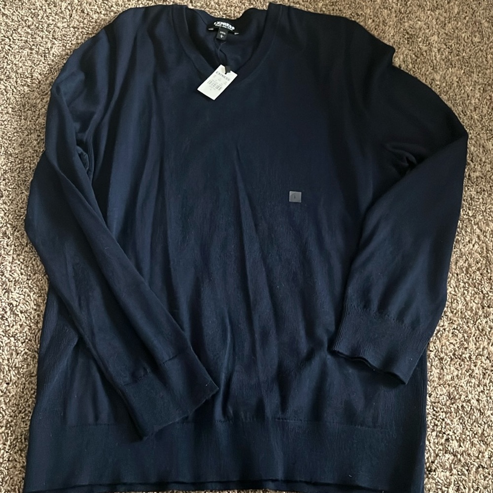 Express men’s sweater